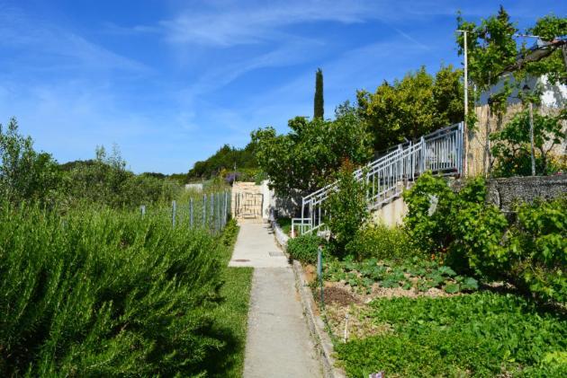 Mediterranean House - Forest Marjan スプリト エクステリア 写真